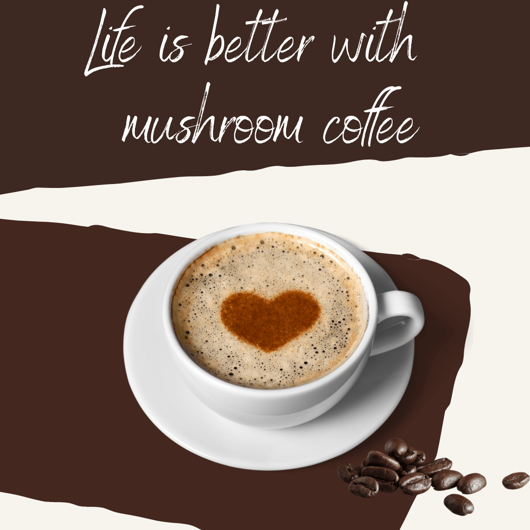 Mushroom Coffee - A Healthy Coffee With Less Caffeine - Health Support 